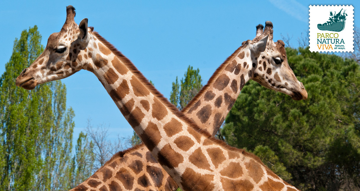 Tierpark Natura Viva Garda - Sonderpreis