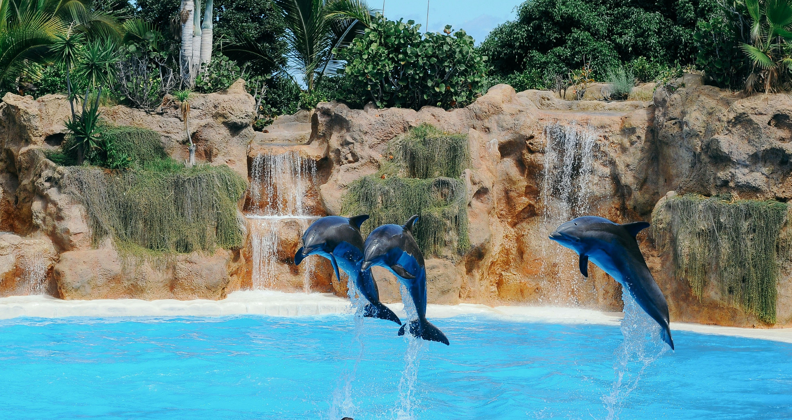 Erkundung des Marineland Catalonia: Attraktionen und Informationen