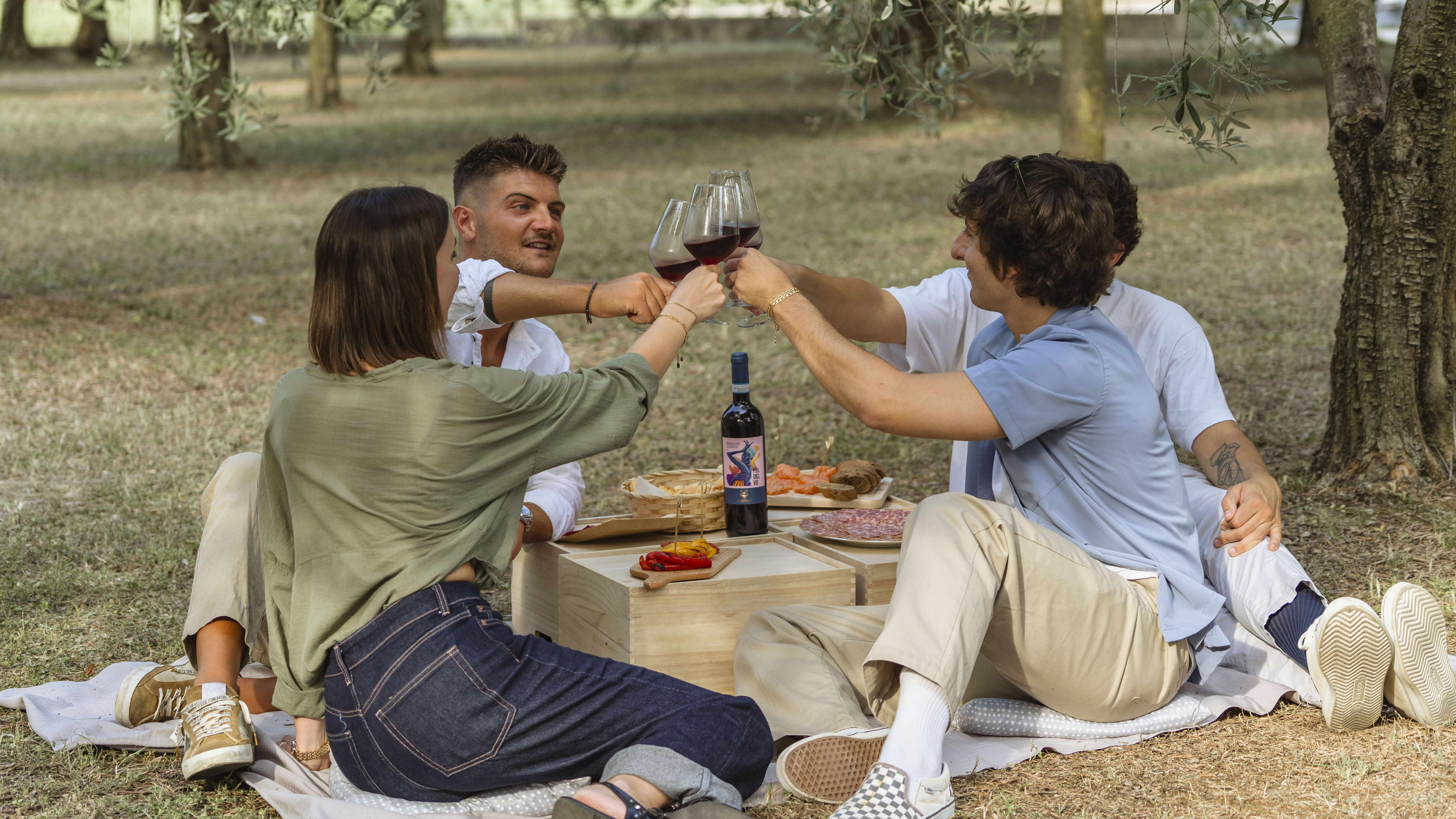 Lazise: Picnic tra i vigneti