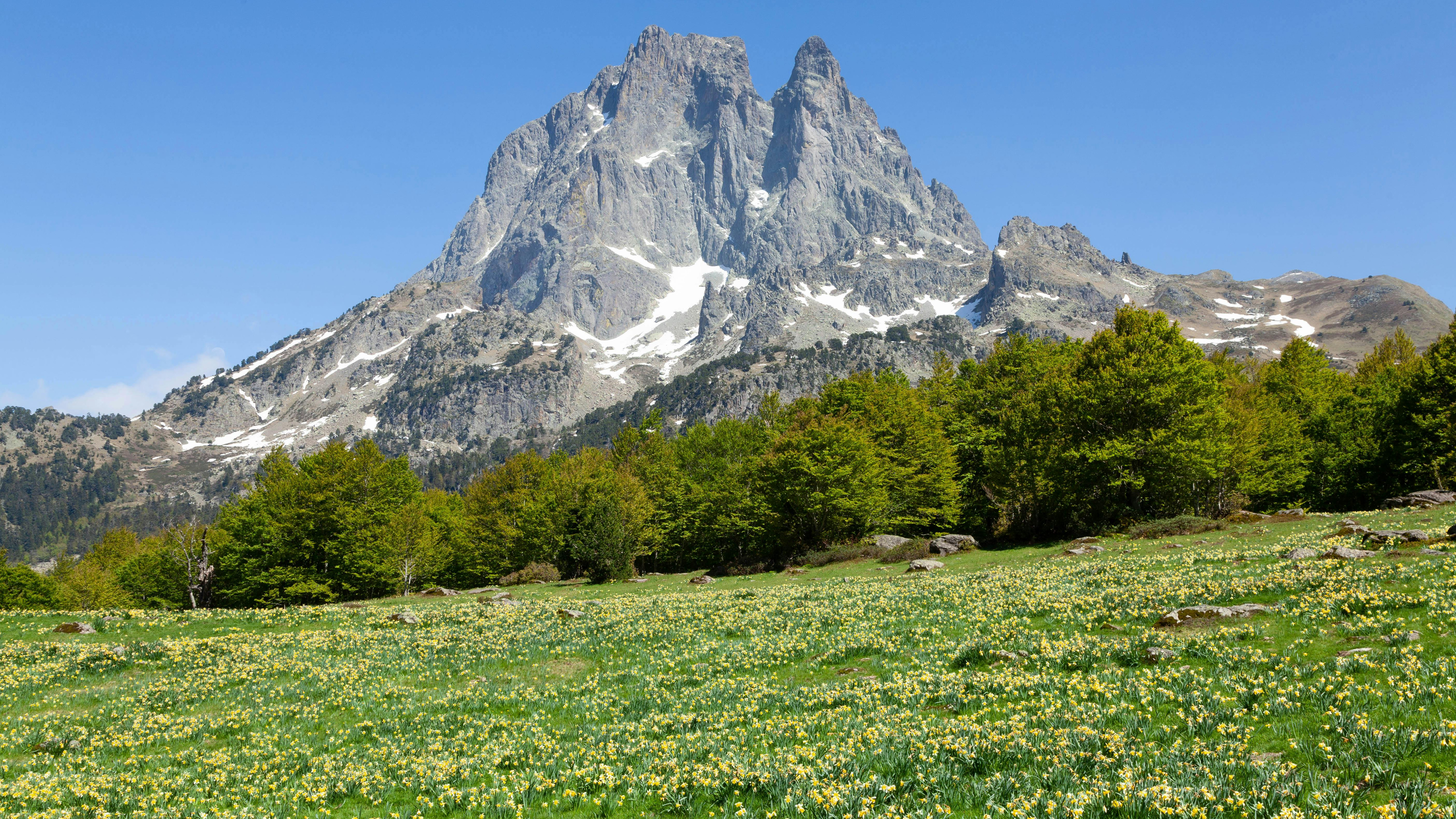 Midi-Pyrenees