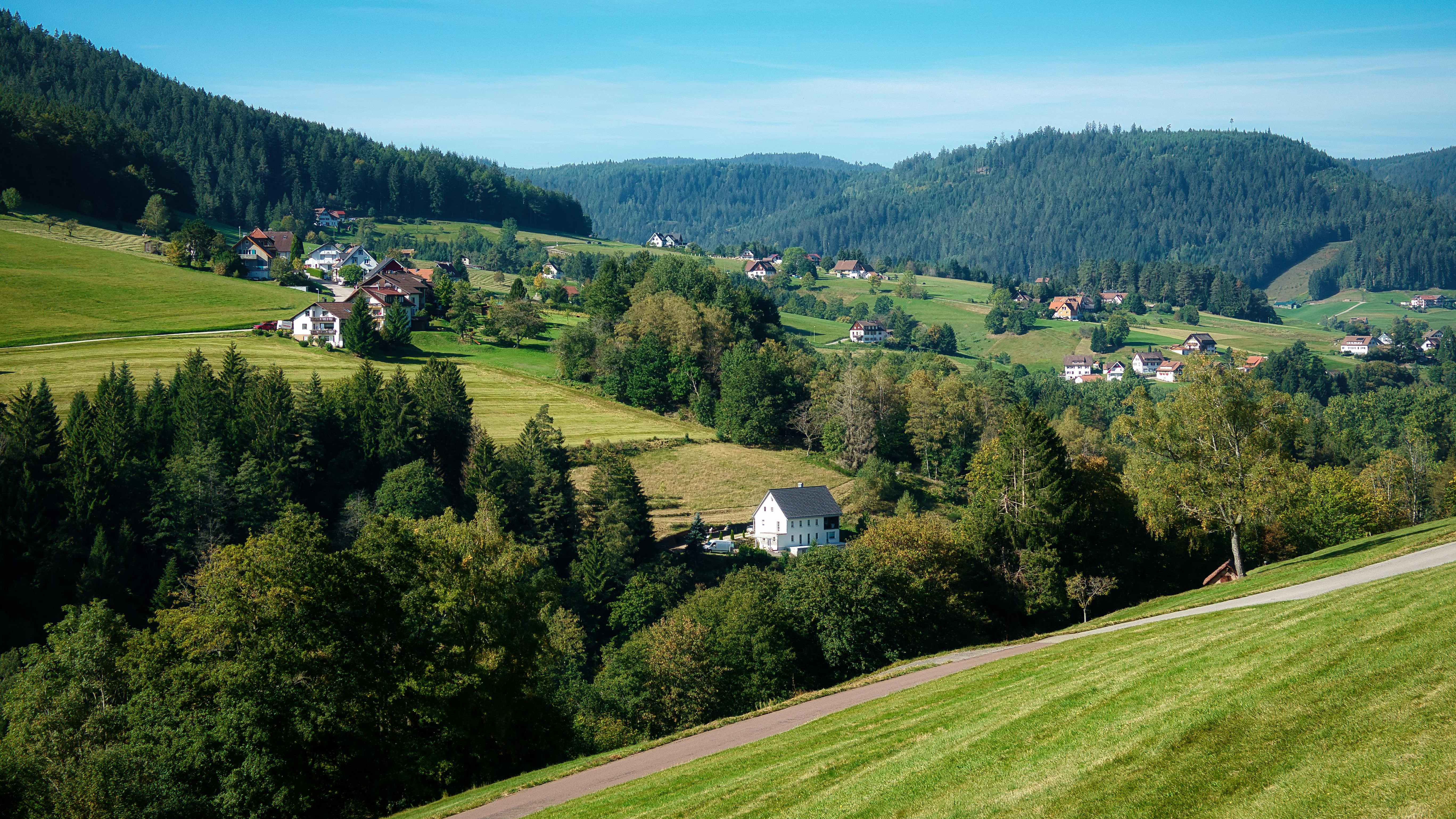 Black Forest