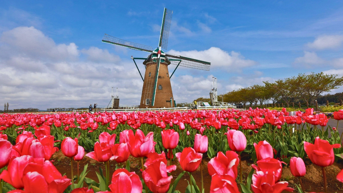 Netherlands